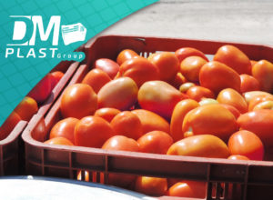 ¡Prepárate con Cajas Agrícolas para la temporada de Tomate! la Caja y propiedades para transporte almacenamiento!