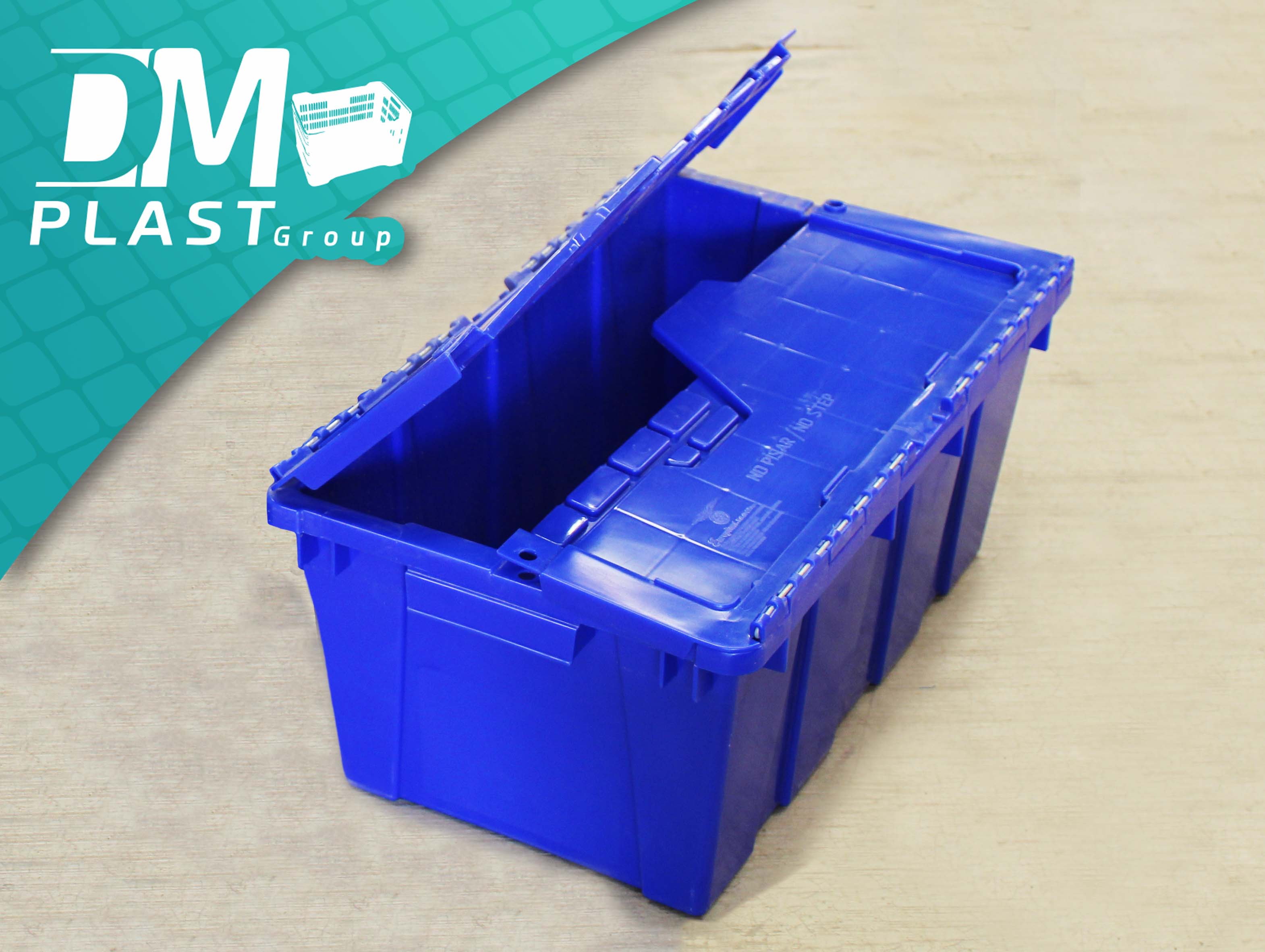 Caja de Plástico con Tapa de Bisagra - DM Plast