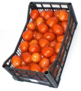 cajas_para_tomate_dmplast_1